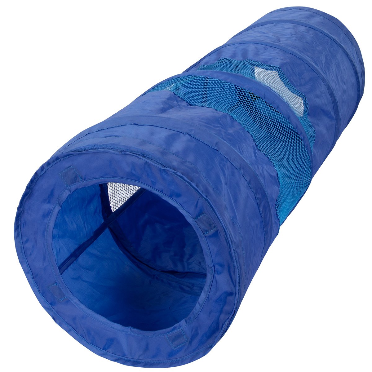 Cat Tunnel P5112
