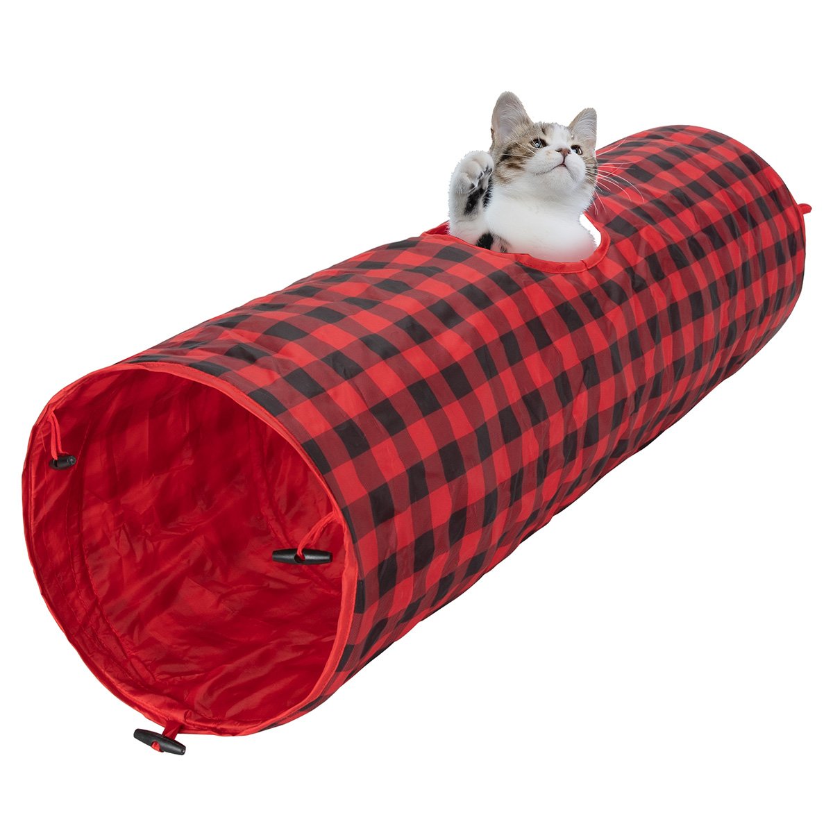 Cat Tunnel P5114