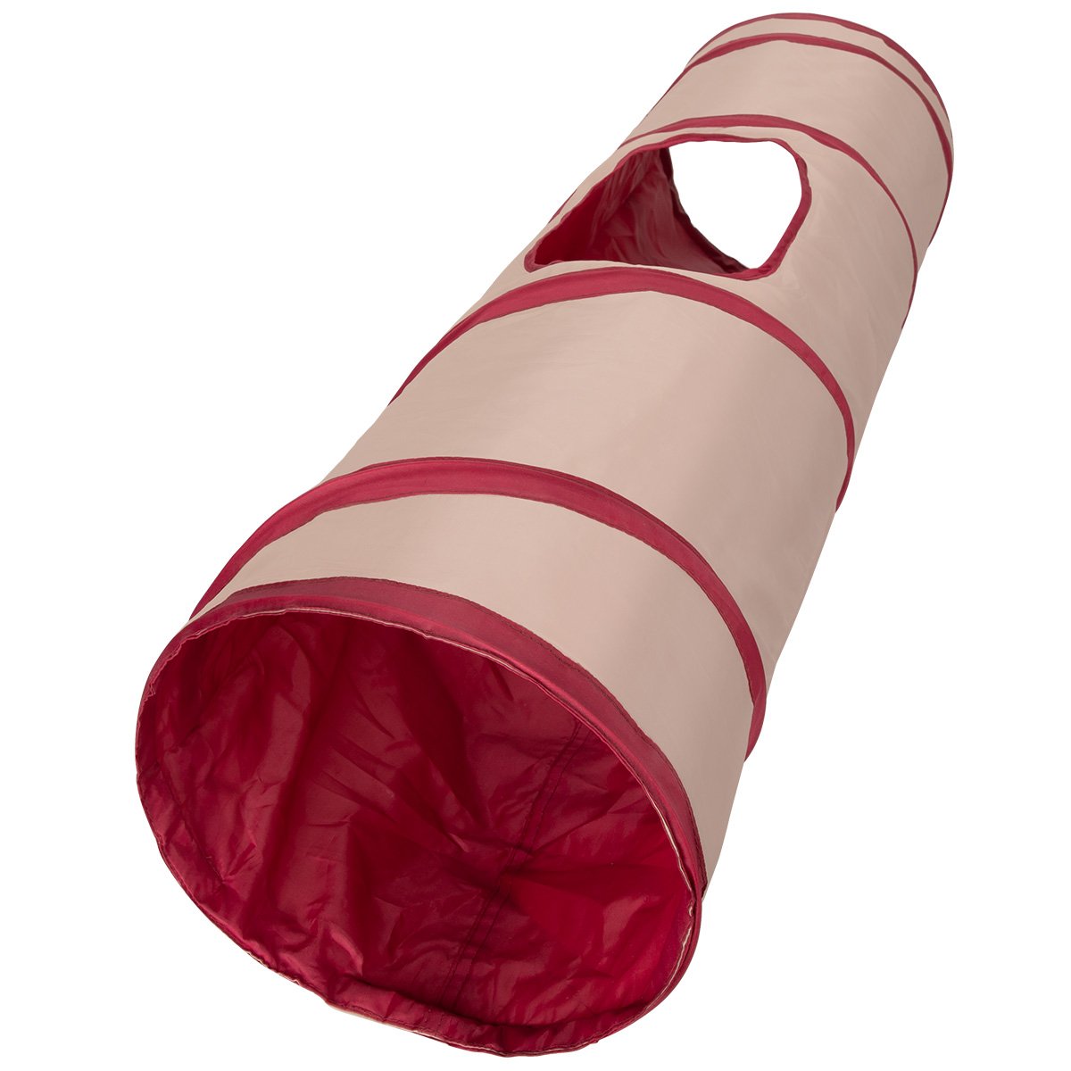 Cat Tunnel P5117