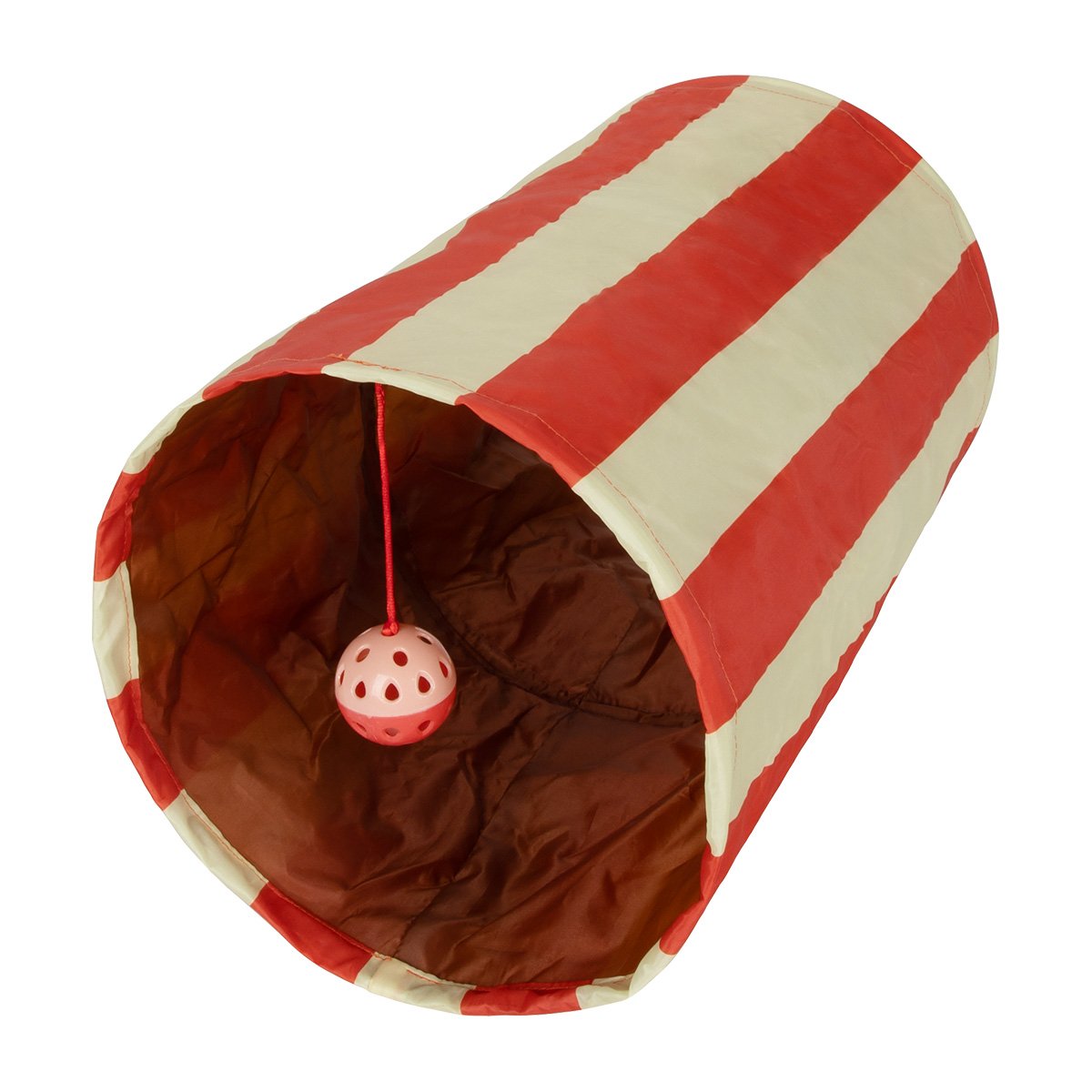 Cat Tunnel P5123