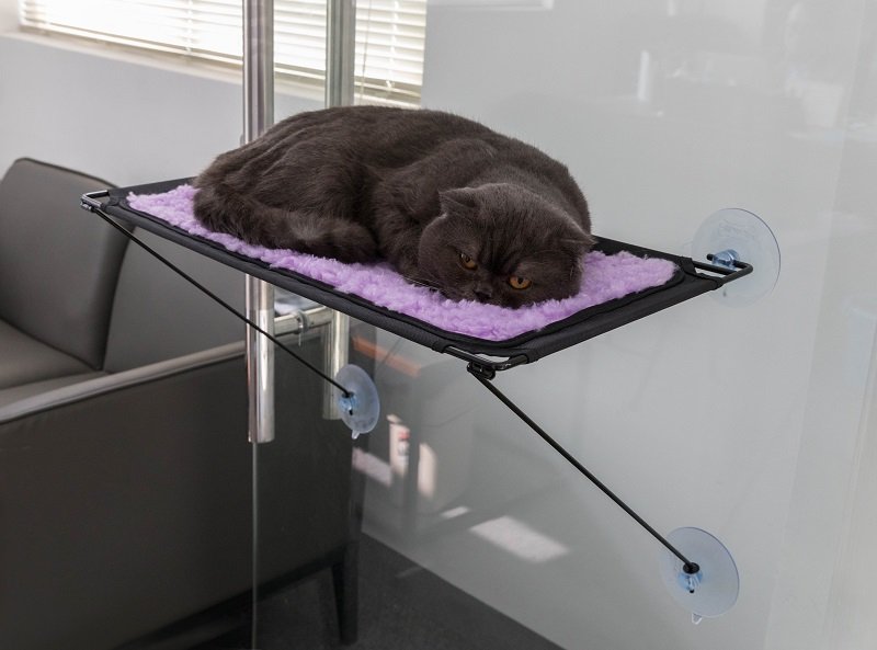 Cat Window Perch P5001 thumbnail 6