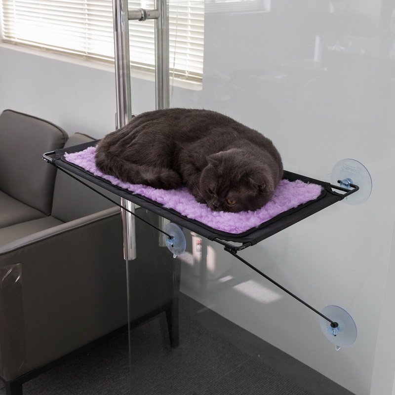 Cat Window Perch P5001 thumbnail 7
