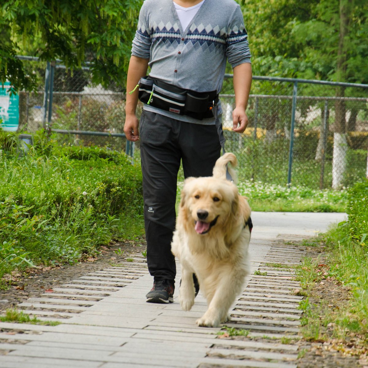 Pet Training Bag P4101 thumbnail 6