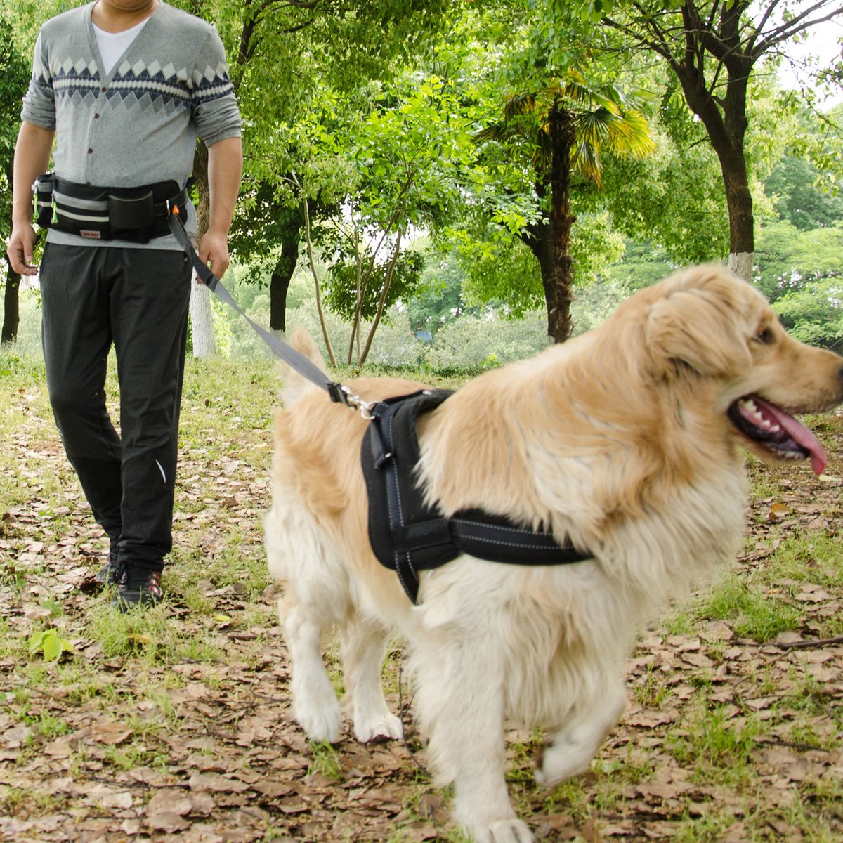 Pet Training Bag P4101 thumbnail 7