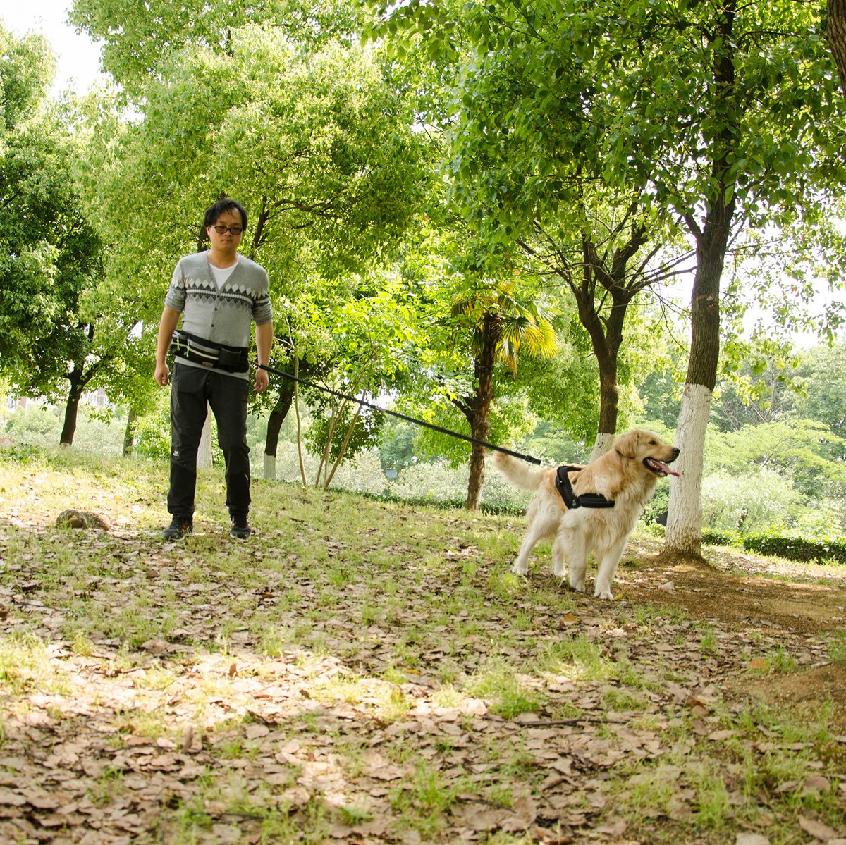 Pet Training Bag P4101 thumbnail 8