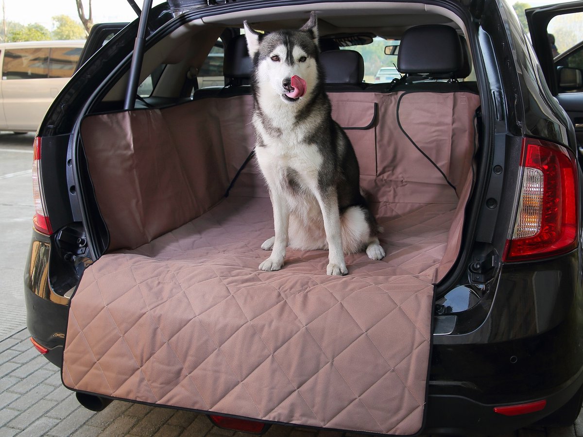 Dog Cargo Cover for SUV P3650 thumbnail 2